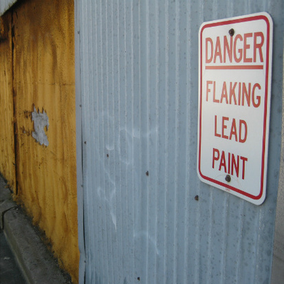 Combating the Lead Poisoning Crisis in Cleveland