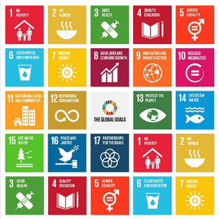 Happy Dog Takes on The World: UN Sustainability Goals - Can 17 Initiatives Transform the World?